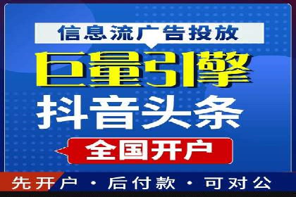 竞价广告与自然搜索的结合策略：XX网站的案例分析